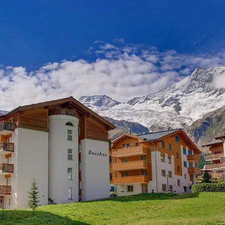Bacchus Saas-Fee